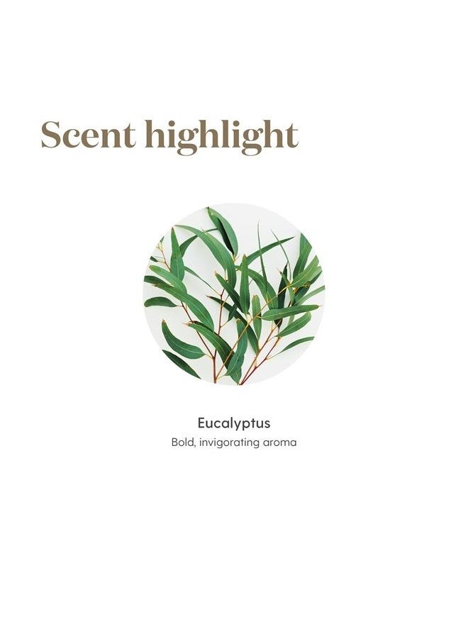 Young Living Eucalyptus Radiata Essential Oil 15ml - Pure & Refreshing Aromatherapy - Clear Your Senses - Certified Quality for Holistic Well-Being & Natural Wellness Journey  - Image 5