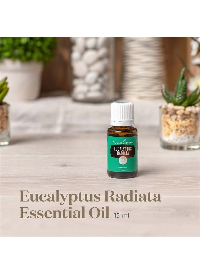 Young Living Eucalyptus Radiata Essential Oil 15ml - Pure & Refreshing Aromatherapy - Clear Your Senses - Certified Quality for Holistic Well-Being & Natural Wellness Journey  - Image 2