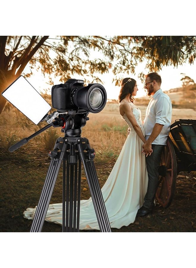 COMAN Video Tripod, COMAN KX3636 74 inch Professional Heavy Duty Aluminum Tripod with Quick Release Plate and 360 Degree Fluid Head for DSLR, Camcorder, Cameras Max Load:17.6lbs/8Kg - Image 2
