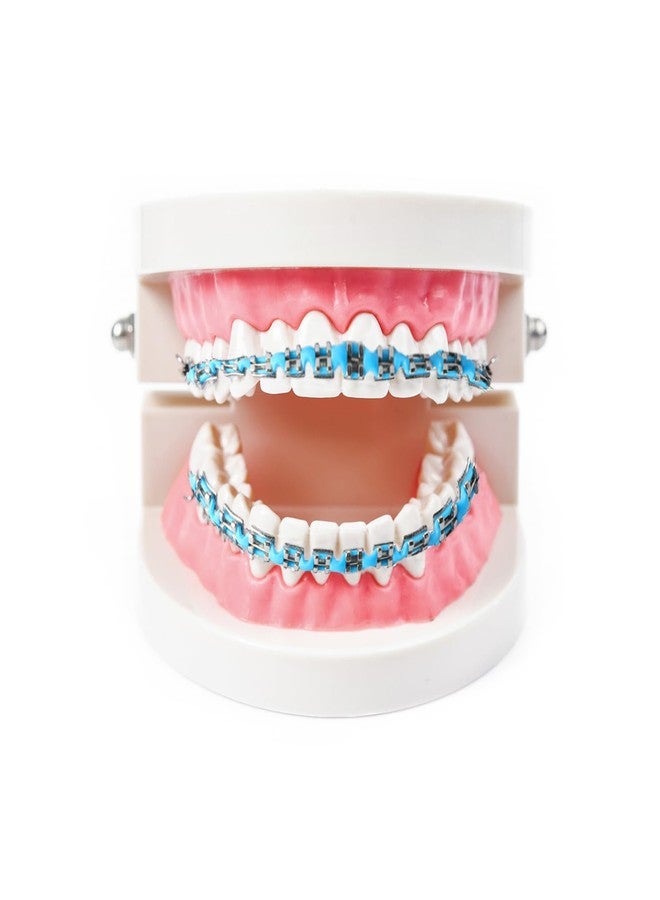 PKRFCJ Brackets Falsos Para Dientes, Braces Kit with Brackets & Wire Perfect for Dental Students & Orthodontic Practice, Brackets Para Dientes for Dental Students to Practice (Light Blue - Image 3