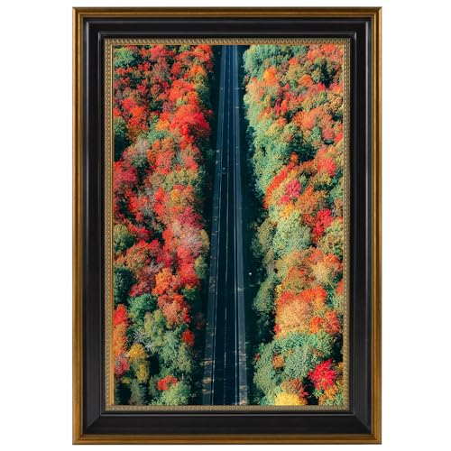 Space Art Deco, 11x17 Ornate Picture Frame Without Mat for 11x17 Photo,Shatter-Resistant Glass Sawtooth Hangers Wall Mount Display(Color Black/Ornate Gold) - Image 1