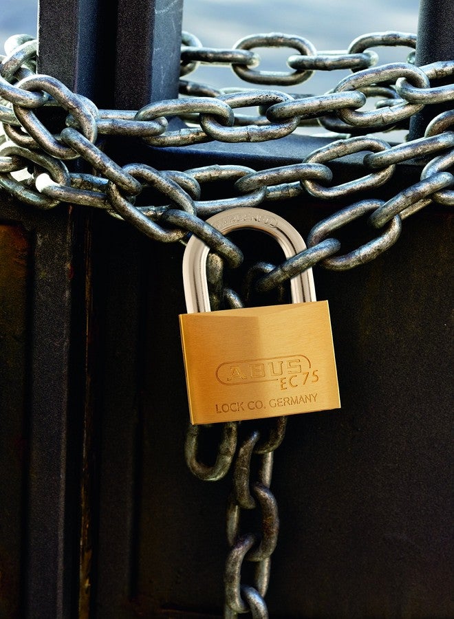 ABUS 75/50 Solid Brass Padlock with 2 Keys for Outdoor, School, Gym, 1 57/64in (50mm) Wide, Keyed Different - Image 2