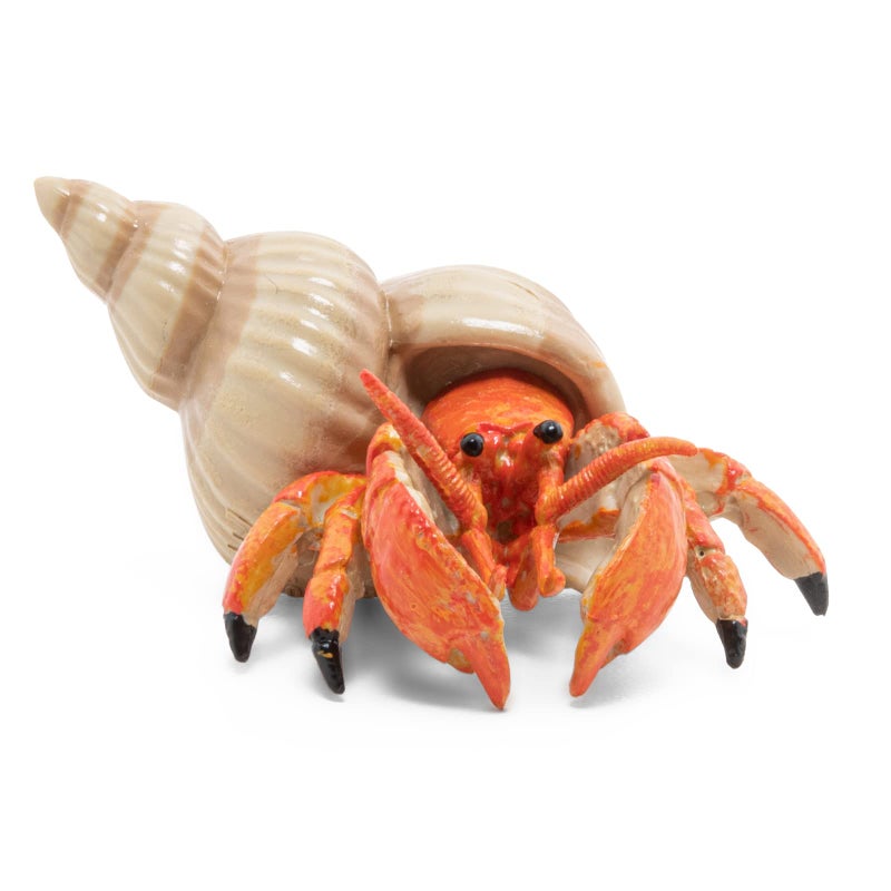 Papo - Figurine Hermit Crab Realistic - from 3 Years Old - Hand-Painted - Collection Marine World - Gift Idea for Boys and Girls - 56054 - Hermit Crab Toy - Marine Figurine - Realistic sea Creature - Image 1