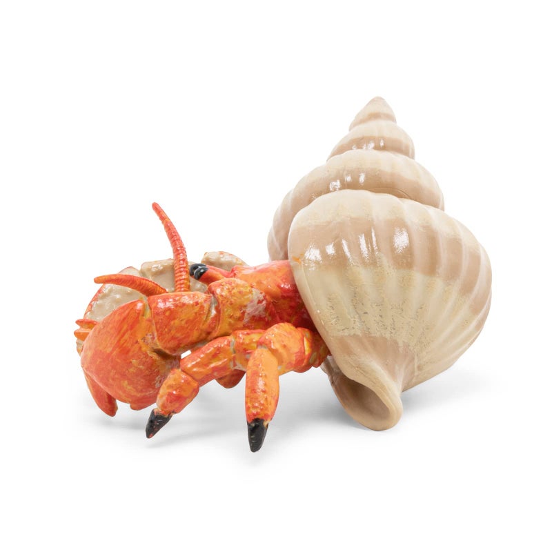 Papo - Figurine Hermit Crab Realistic - from 3 Years Old - Hand-Painted - Collection Marine World - Gift Idea for Boys and Girls - 56054 - Hermit Crab Toy - Marine Figurine - Realistic sea Creature - Image 4