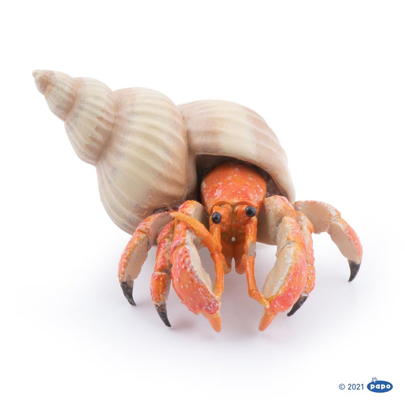 Papo - Figurine Hermit Crab Realistic - from 3 Years Old - Hand-Painted - Collection Marine World - Gift Idea for Boys and Girls - 56054 - Hermit Crab Toy - Marine Figurine - Realistic sea Creature - Image 3
