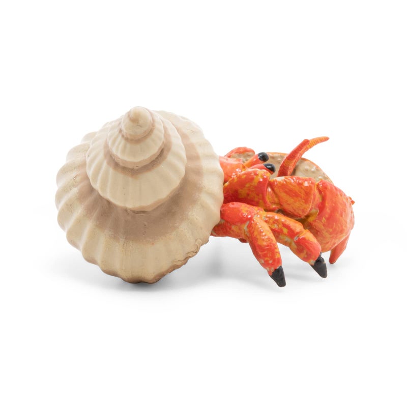 Papo - Figurine Hermit Crab Realistic - from 3 Years Old - Hand-Painted - Collection Marine World - Gift Idea for Boys and Girls - 56054 - Hermit Crab Toy - Marine Figurine - Realistic sea Creature - Image 5