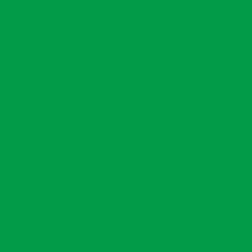Jacquard Products Jacquard Silk Colors Dyes, 2-Ounce, Kelly Green - Image 2