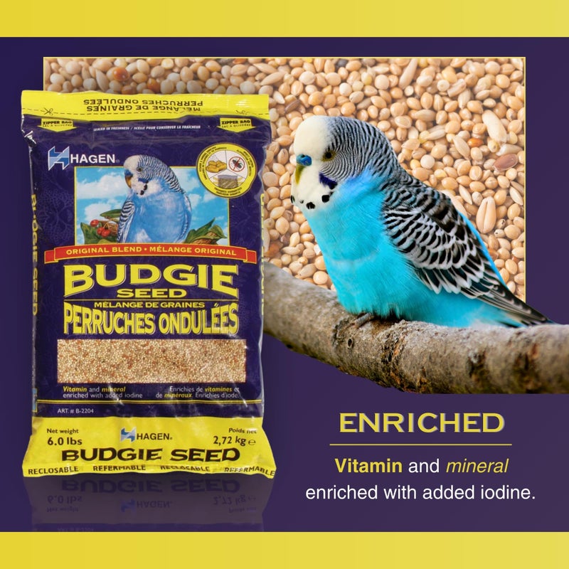 Hagen Parakeet/Budgie Staple VME Seed - Premium Blend, Nutritionally Balanced, Fortified with Vitamins & Minerals, Dust-Free Mix for Budgies, 6 lb Bag - Image 2