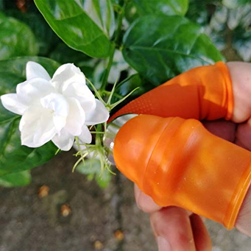 MEZON Thumb Cutter Separator Finger Tool For Harvesting Plant Gardening Fruit Vegetable Picker - Image 4