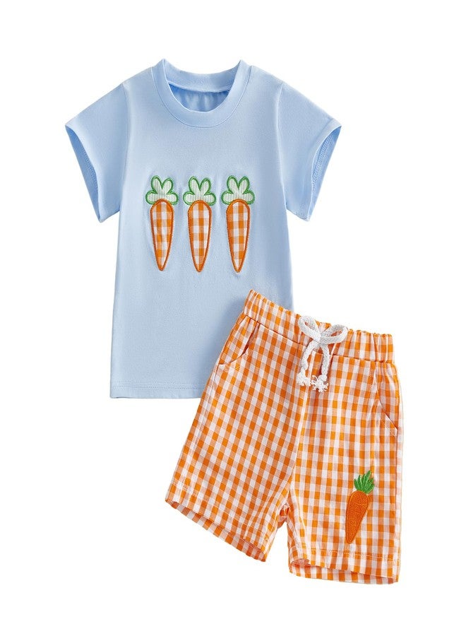 Thilsidee Toddler Baby Boy Girl Easter Outfits Short Sleeve Embroidery Rabbit Carrot T-shirt Plaid Shorts Summer Clothes Set (G-Sky blue, 2-3T) - Image 1