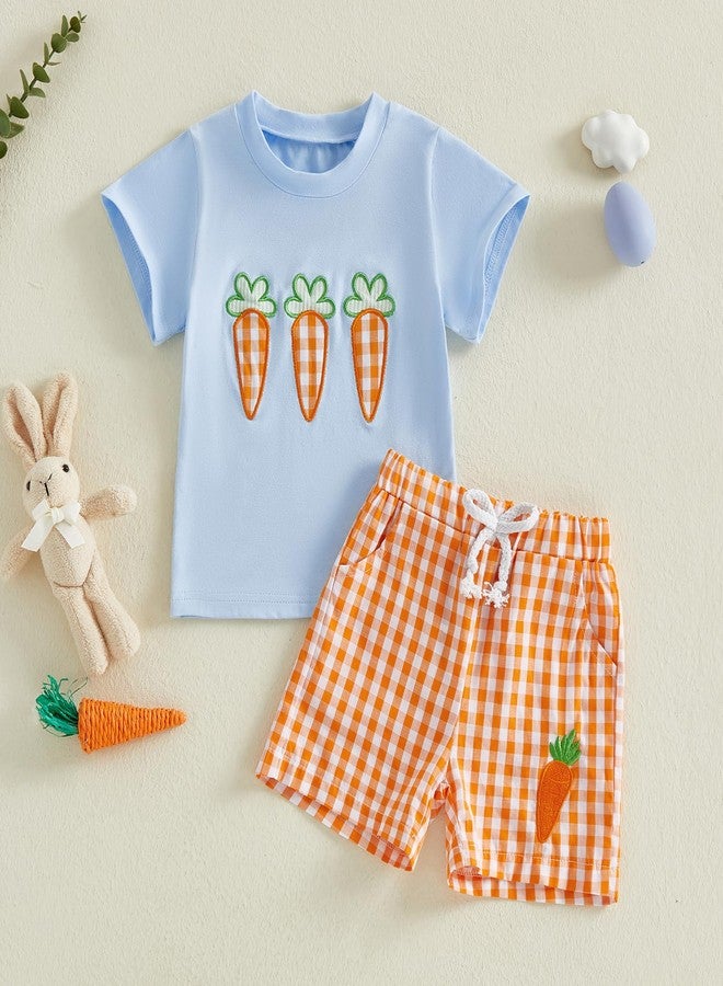 Thilsidee Toddler Baby Boy Girl Easter Outfits Short Sleeve Embroidery Rabbit Carrot T-shirt Plaid Shorts Summer Clothes Set (G-Sky blue, 2-3T) - Image 2