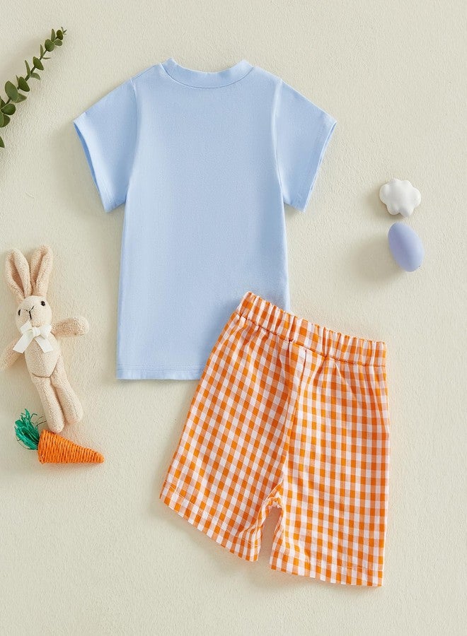 Thilsidee Toddler Baby Boy Girl Easter Outfits Short Sleeve Embroidery Rabbit Carrot T-shirt Plaid Shorts Summer Clothes Set (G-Sky blue, 2-3T) - Image 3