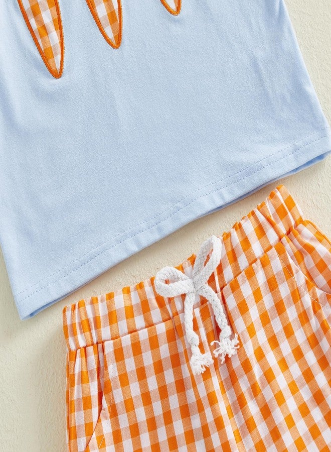 Thilsidee Toddler Baby Boy Girl Easter Outfits Short Sleeve Embroidery Rabbit Carrot T-shirt Plaid Shorts Summer Clothes Set (G-Sky blue, 2-3T) - Image 5