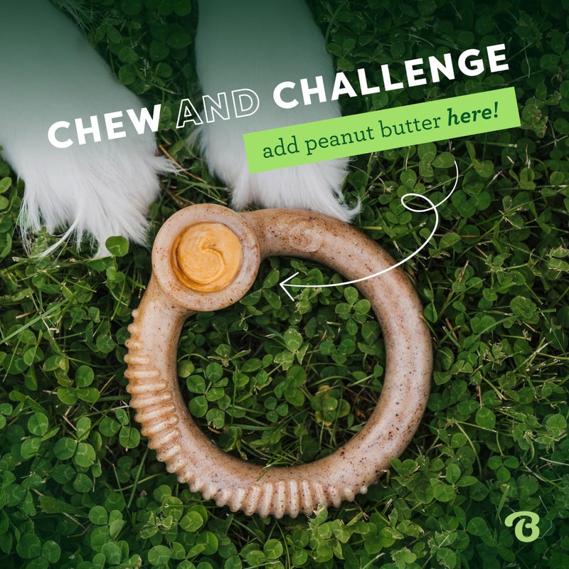 Benebone Ring Durable Dog Chew Toy for Aggressive Chewers, Real Bacon, Made in USA, Small - Image 5