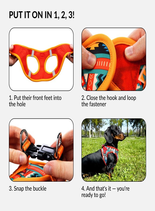 CollarDirect Step-in Reflective Dog Harness - Any Weather Air Mesh for Small and Medium Dogs Easy to Put On and Off 3 Patterns (Size XS, Pattern 2) - Image 4