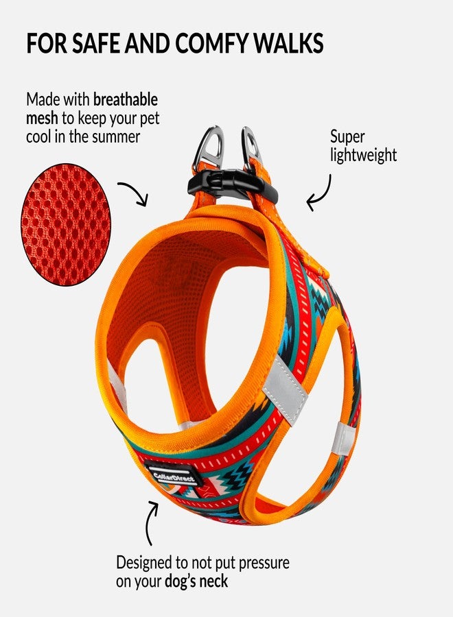CollarDirect Step-in Reflective Dog Harness - Any Weather Air Mesh for Small and Medium Dogs Easy to Put On and Off 3 Patterns (Size XS, Pattern 2) - Image 2