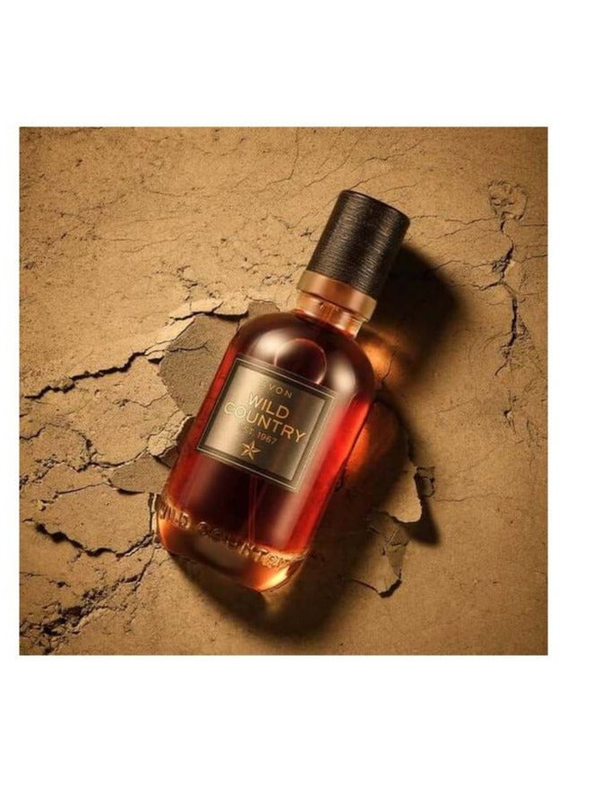 آفون عطر وايلد كانتري من افون - 75 مل - Image 3