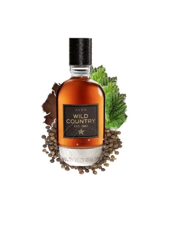 آفون عطر وايلد كانتري من افون - 75 مل - Image 4