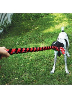 KONG Signature Rope Double Ring Tug Dog Toy, Durable Tug & Fetch Toy for Dogs, Soft Stretchy Braided Cotton Rope Toy, Gentle on Dog's Mouth, Cleans Teeth, Easy to Grab, Dogs - pzsku/Z3BE38399BDFDDB6447C6Z/45/_/1738306688/a815c55c-0ba4-4613-ac9f-3c913979bd7d