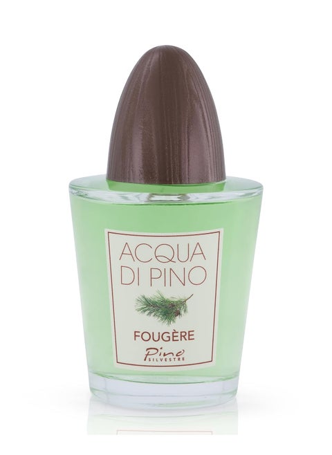 Pino Silvestre Acqua Di Pino Fougere For Men  A Mens Eau De Toilette Cologne Perfume Spray With An Intense Fragrance For Every Guy  A Truly Male Musk For The Fierce Man In Your Life  42 Oz