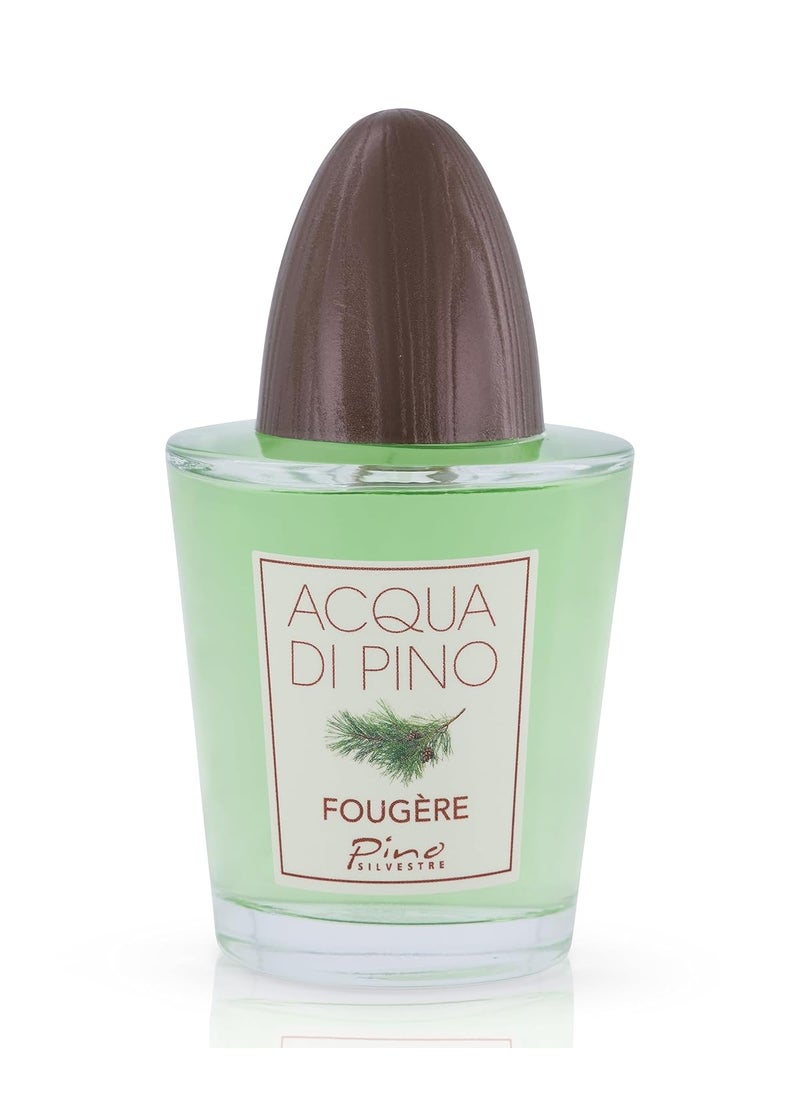 Pino Silvestre Pino Silvestre Acqua Di Pino Fougere For Men  A Mens Eau De Toilette Cologne Perfume Spray With An Intense Fragrance For Every Guy  A Truly Male Musk For The Fierce Man In Your Life  42 Oz 