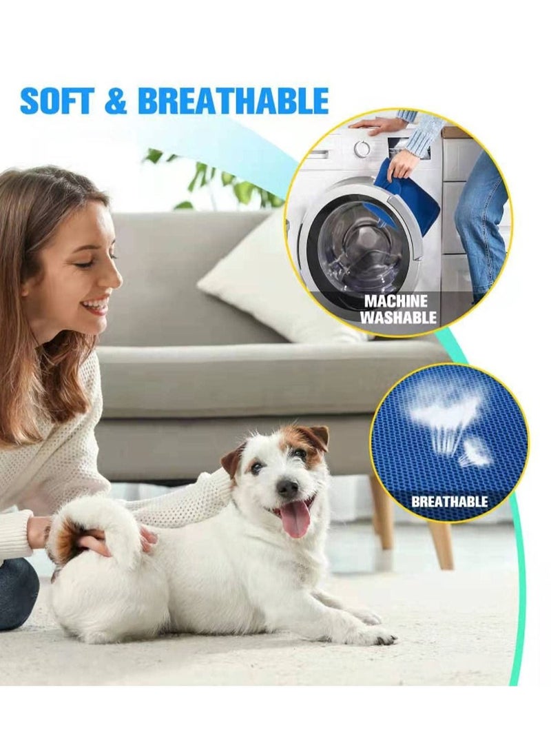 Arabest 10 قطع من حزام أرجوحة العناية بالحيوانات الأليفة مع مقص أظافر/مقص أظافر، مبرد أظافر، مشط، أرجوحة أظافر، حزام العناية لقص/تقليم الأظافر - Image 2