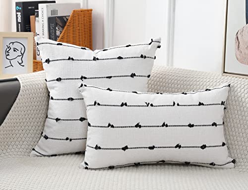 NUYECY Set of 2 Boho Throw Pillow Covers 24x24,Black Off White Neutral Couch Pillow Case with Tassel Fringe Decorative，Modern Accent Farmhouse Cushion Covers for Sofa Couch Bed Living Room - Image 2