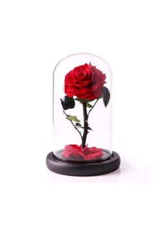 Handmade Preserved Flowers Forever Roses in Glass Natural Eternal Never Withered  (Red)