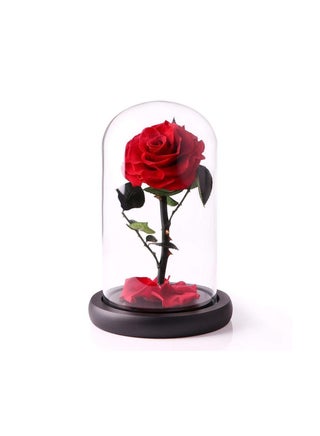 Handmade Preserved Flowers Forever Roses in Glass Natural Eternal Never Withered  (Red) - pzsku/Z3BE94971C1234B106E3AZ/45/_/1666690752/110323b7-a47a-46d8-9517-c34c5c230d88
