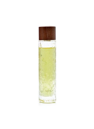 عطر بخاخ وودي ستايل 100ملليلتر - view 5