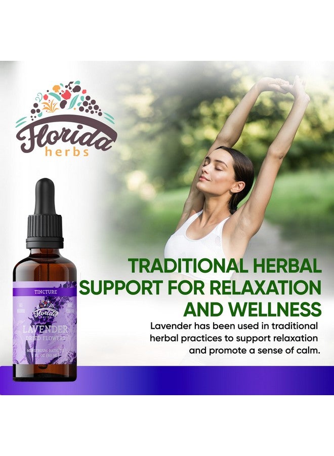 FLORIDA HERBS Lavender Flower Liquid Extract for Calming Nervous System Support, Organic Lavender Extract (Lavandula X Intermedia) Dried Flow 2 Fl Oz - Image 2