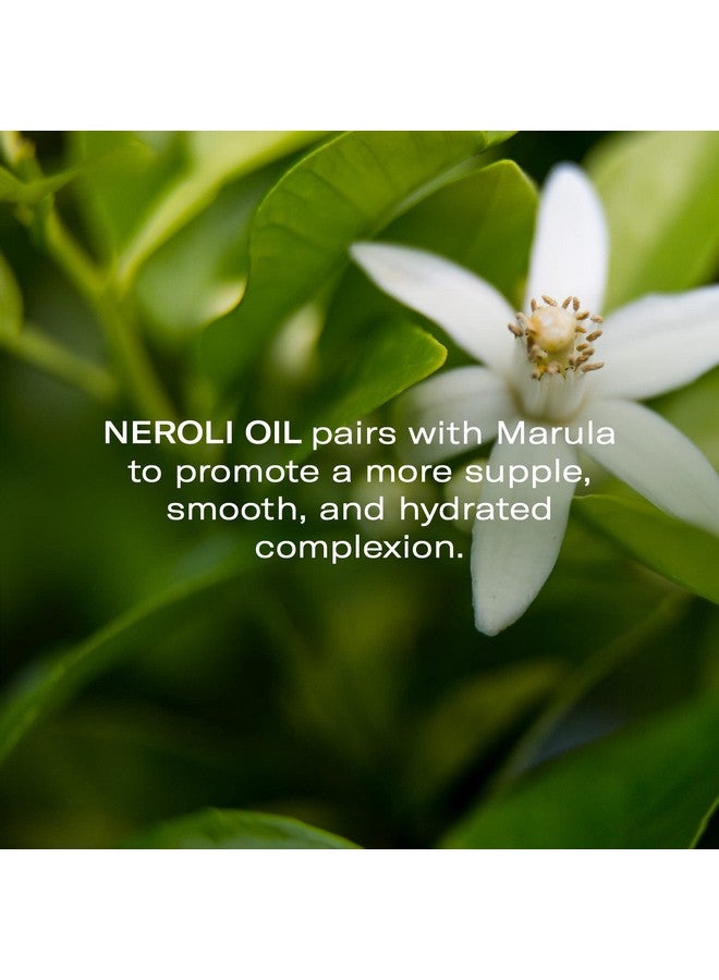 أوداسايت مصل Odacité المضاد للشيخوخة مركّز مع المارولا + زيت زهر البرتقال المتوهج وصفة زيت الوجه لترطيب البشرة وملمسها وبشرة أكثر نعومة ونضارة بشكل واضح 0.17 أونصة سائلة. أوز - Image 4