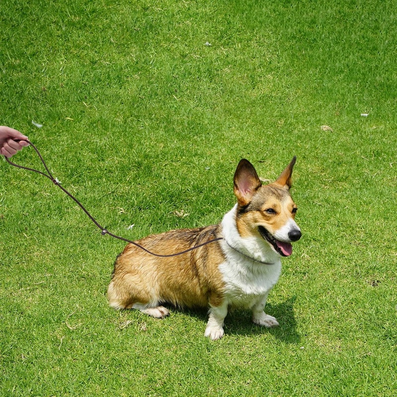 SHOWERORO Leather Dog Leash Small Pet Traction Rope Handle, Genuine Cowhide Leather Dog Walking Leash for Training and Outdoor Use - Image 5