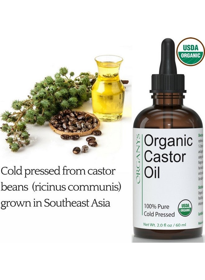 Organys Organys Organic Castor Oil 2oz, For Longer Fuller Thicker Looking Hair Eyelashes & Eyebrows Enhances The Appearance Of Natural Lash & Brow Growth. Serum Comes With Eyeliner & Mascara Brushes - Image 4
