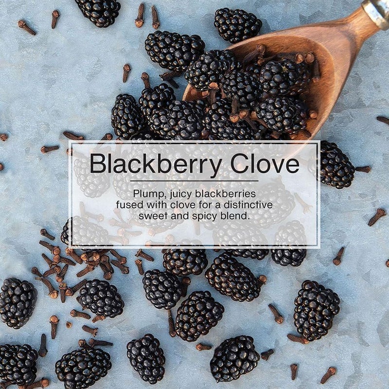 Little Trees Blackberry Clove Car Air Freshener - Pack of 24 - Image 5