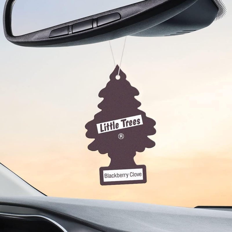 Little Trees Blackberry Clove Car Air Freshener - Pack of 24 - Image 4