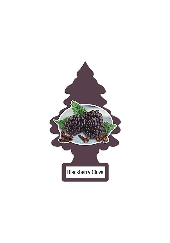 Little Trees Blackberry Clove Car Air Freshener - Pack of 24 - Image 3