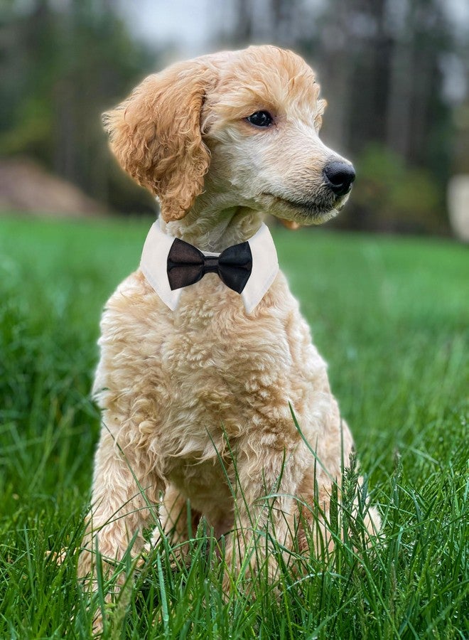 Koolmox Pet Ties, KOOLMOX Handcrafted Adjustable White Collar with Black Tie and Bow for Pet, Cat Bow Tie for Medium Sized Dogs Tuxedo Tux Suits, Wedding Birthday Valentines Day Grooming, 2 Pack Black - Image 5