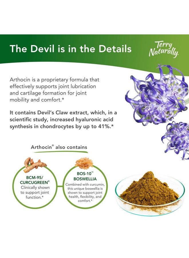 Terry Naturally Arthocin 60 Vegan Capsules Joint  Cartilage Support Supplement Optimizes Comfort Mobility  Flexibility Nongmo Glutenfree 30 Servings - Image 3