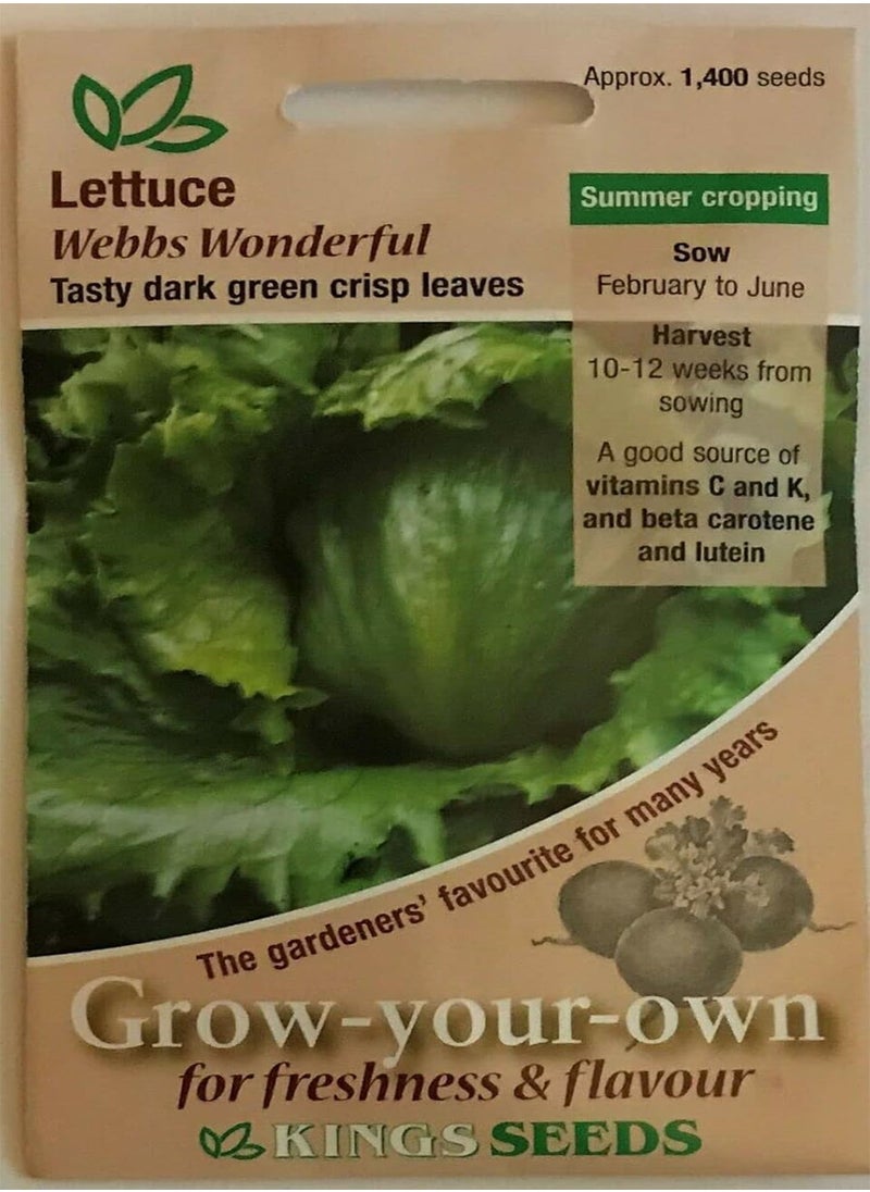 GGOOT Lettuce, Lactuca Sativa, 1400 Seeds by Heavy Torch  - Image 2