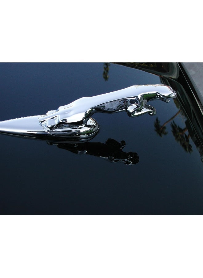 P21S 12700W Carnauba Wax - Image 4