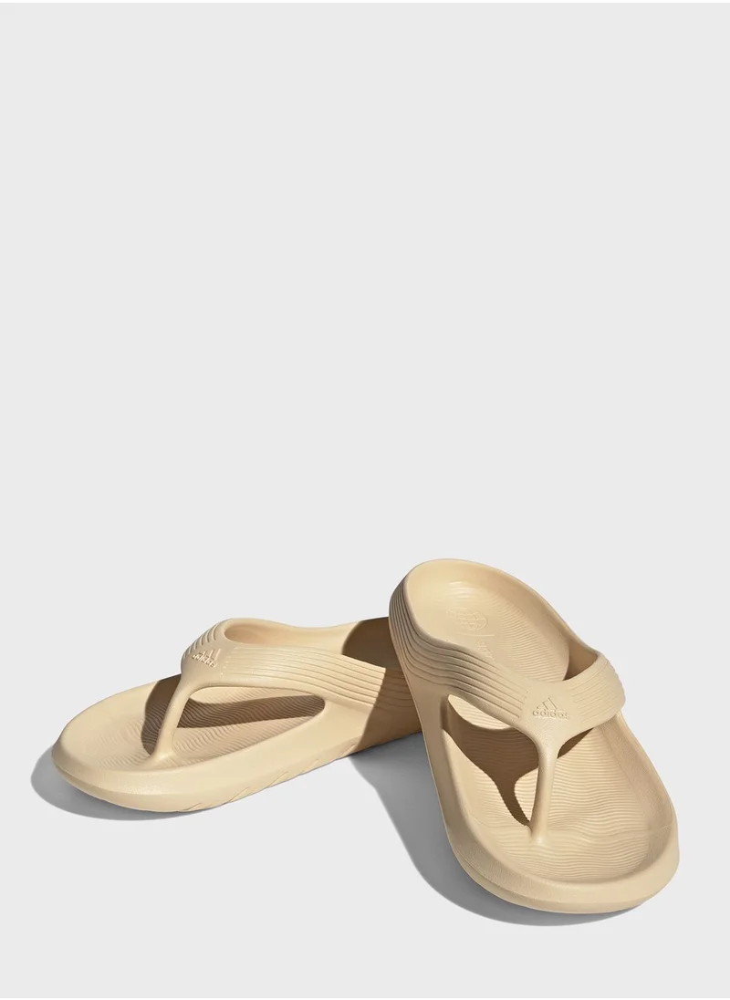 Adidas Adicane Flip Flop