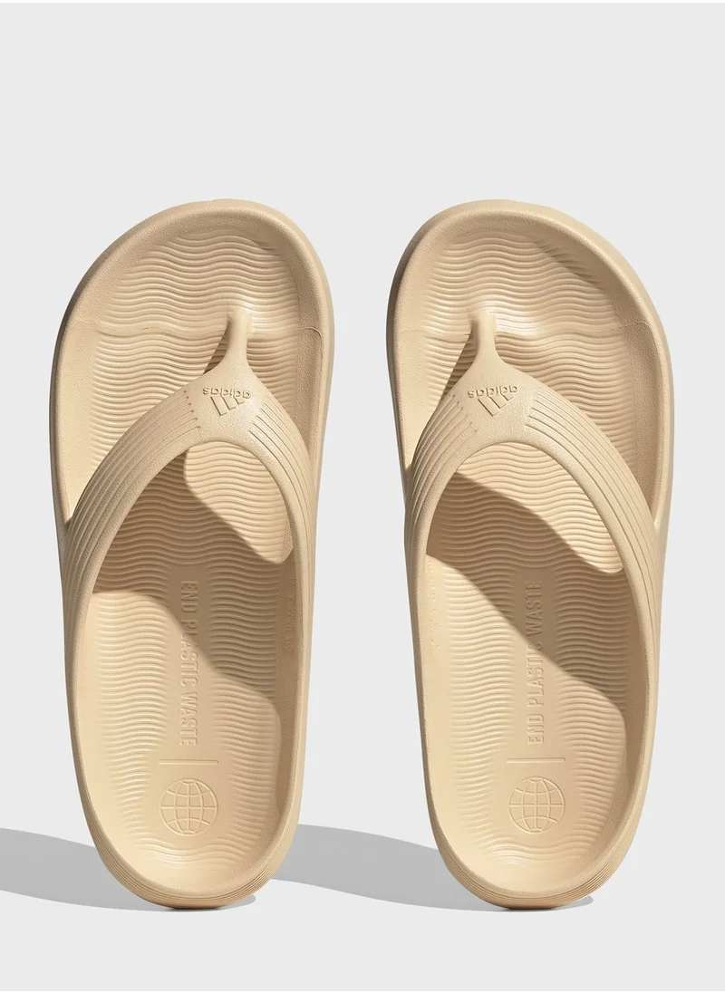 Adidas Adicane Flip Flop