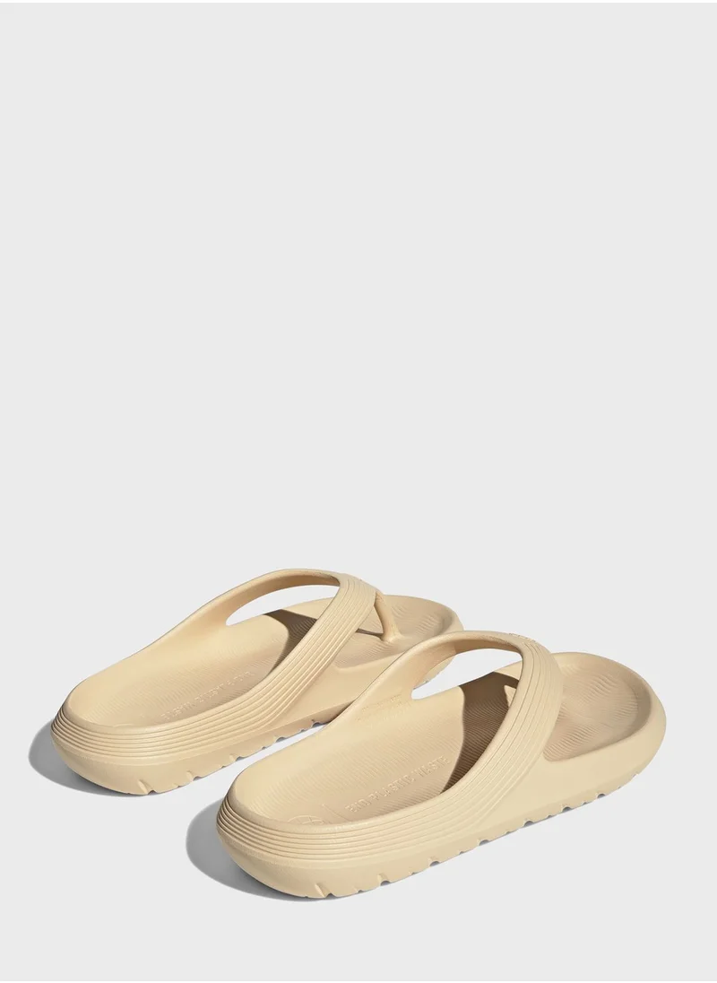 Adidas Adicane Flip Flop