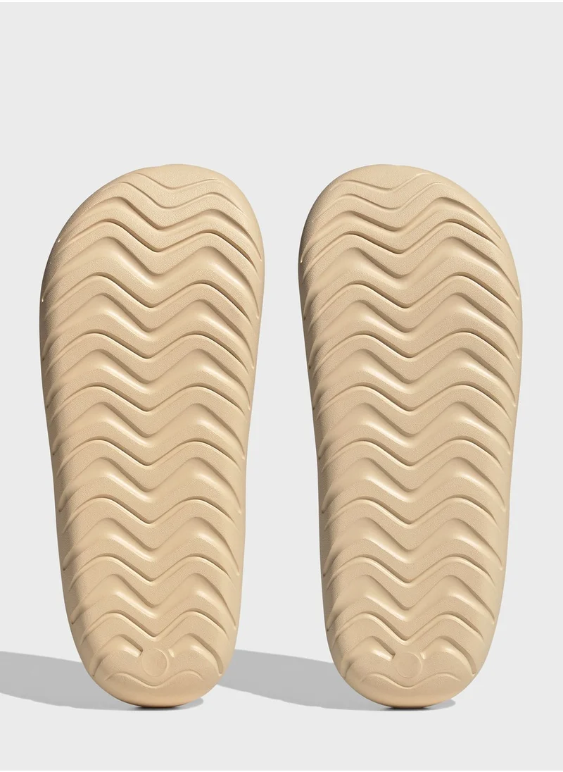 Adidas Adicane Flip Flop