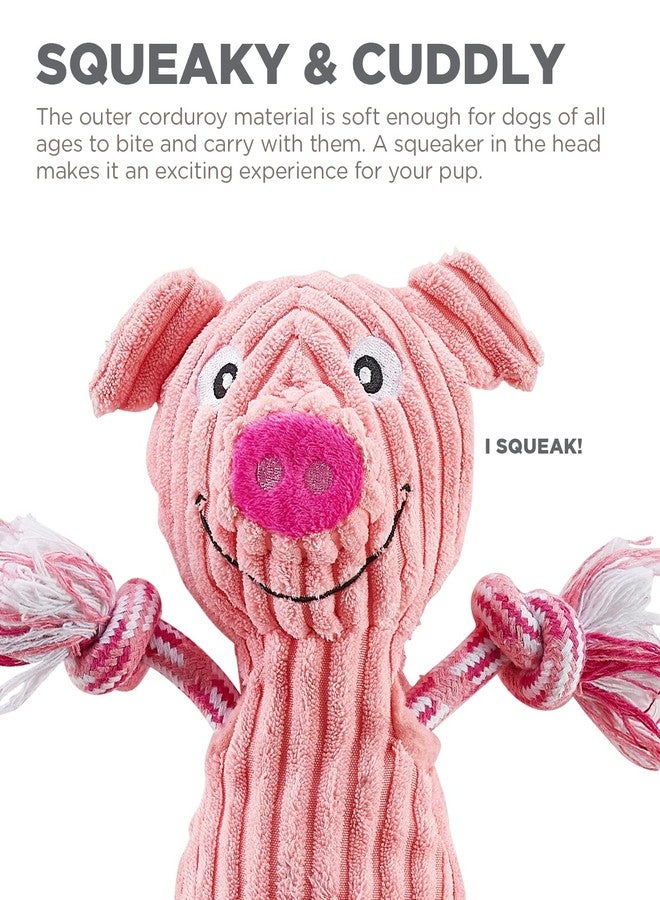 Outward Hound Ranch Roperz Pig Plush Squeaky Dog Toy - Image 5