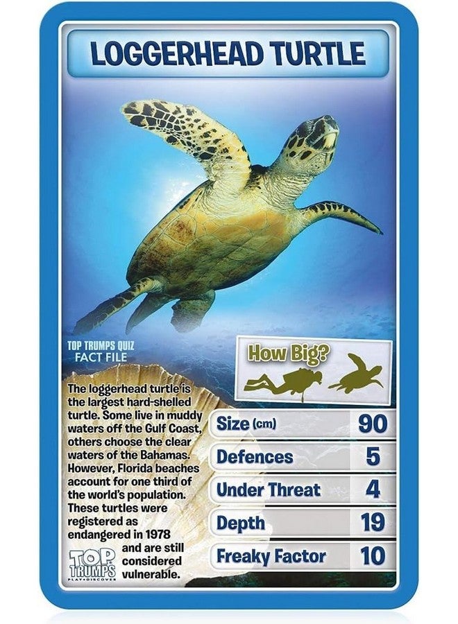 Top Trumps Top Trumps Creatures of The Deep Classic Card Game, Learn Facts About The Blue Blubber Jellyfish, Octopus and Penguins in This Educational Packed Game, Gift and Toy for Boys and Girls Aged 6 Plus - Image 3