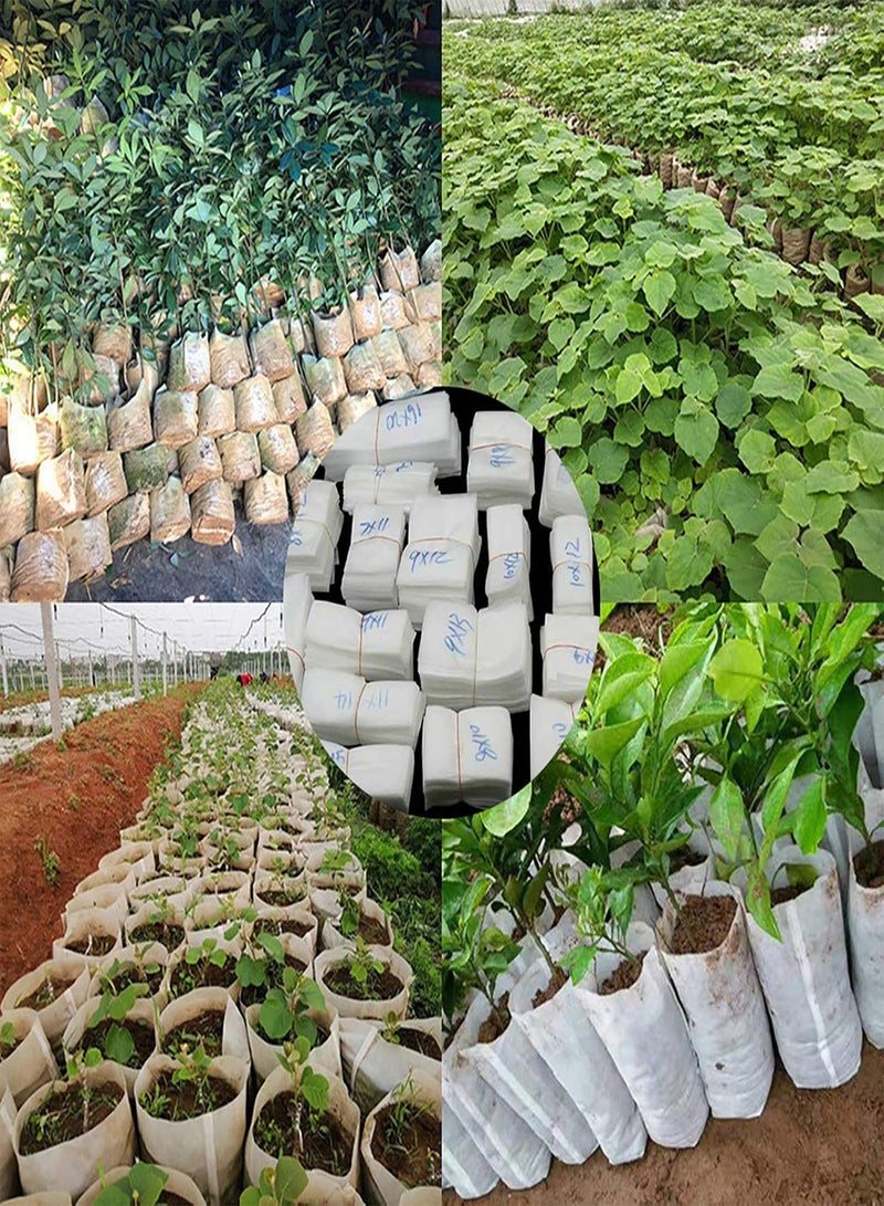 GGOOT Seeds Starter Bags Small, Non-Woven Nursery Plant Grow Bags, Fabric Seedlings Bags Pots Pouch for Plants Seedings Clones Home Garden Supply 7cm x 11cm - Image 3