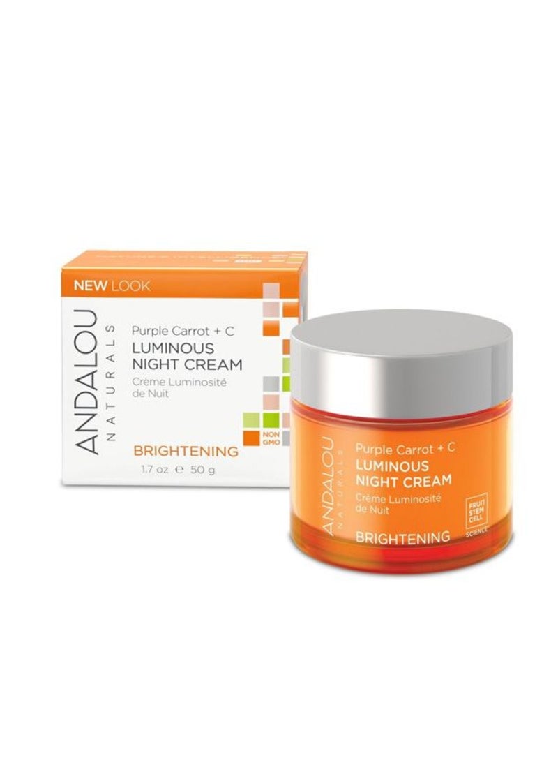Andalou Natural Andalou Purple Carrot+C Luminous Night Cream 50 ml  - Image 1