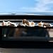 MASHDE Cute Car Accessories Funny Corgi Dog Figurines for Dashboard Rear View Mirror Decorations Mini Resin Dogs for Women Men - Image 2